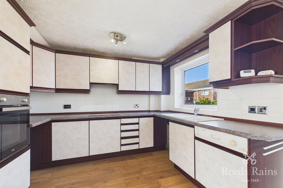 Kitchen / Living Area