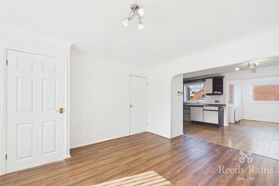 Kitchen / Living Area