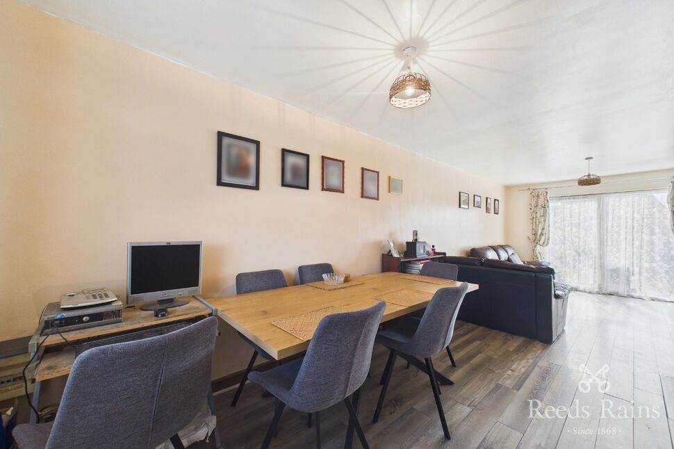 Living / Dining Room