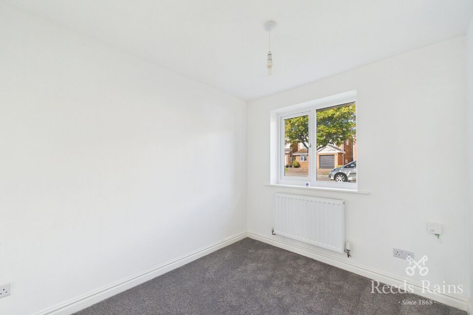 Study