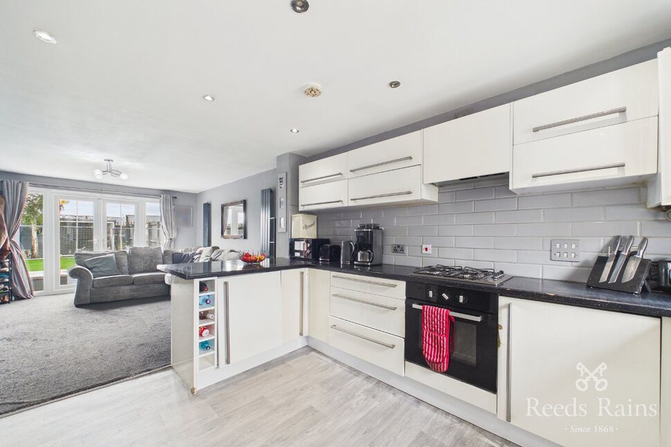 Kitchen / Living Area