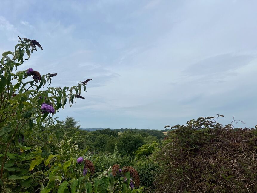 Image 14