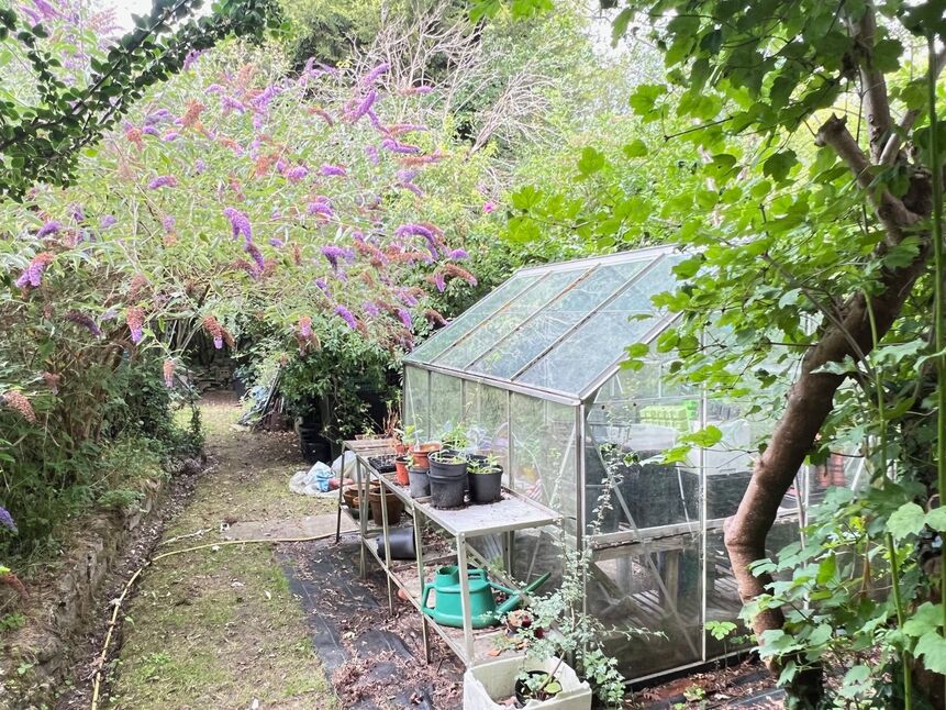 Image 13