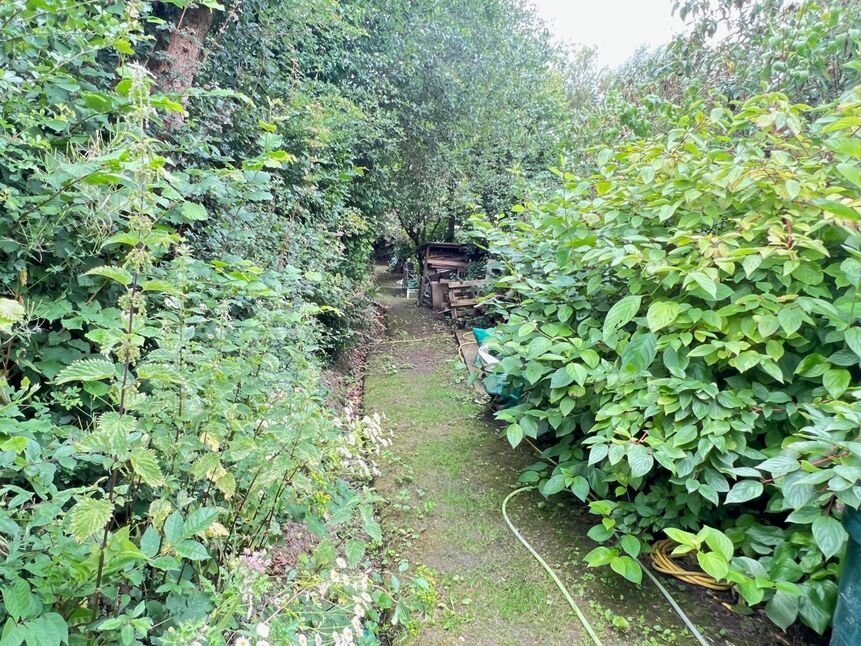 Image 16