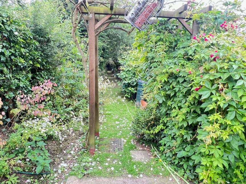 Image 17