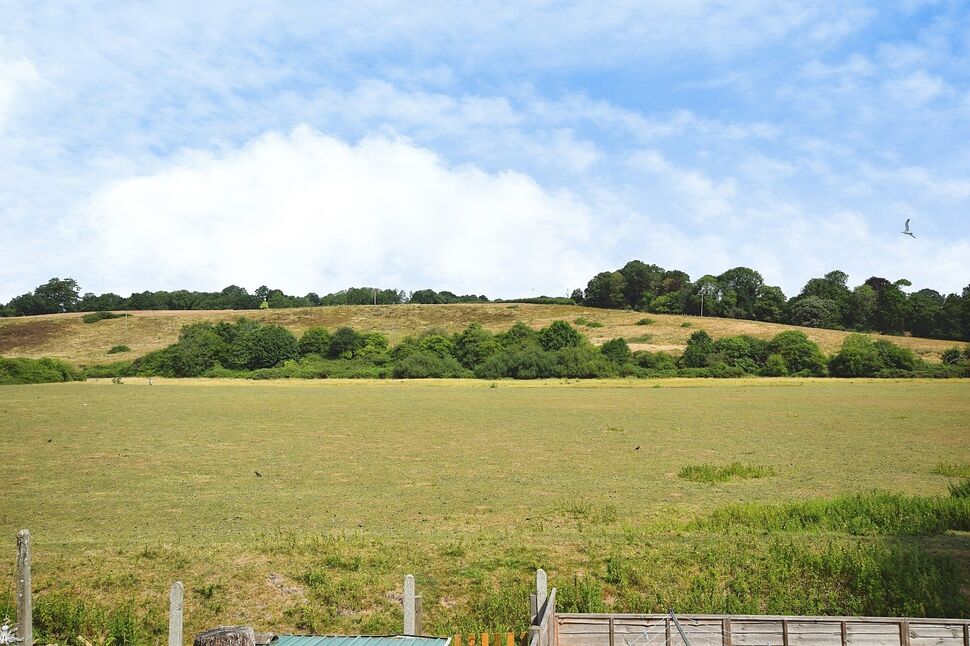 Image 17
