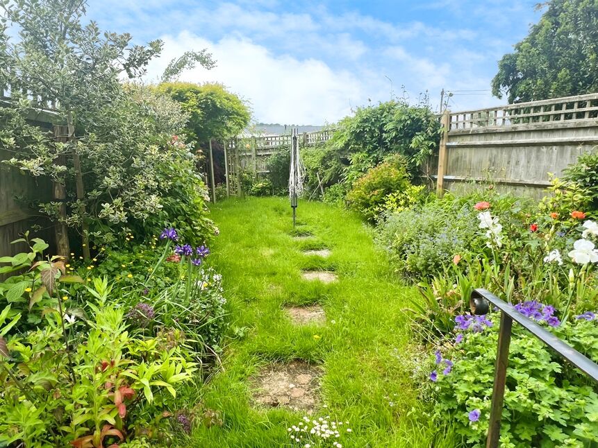 Image 12
