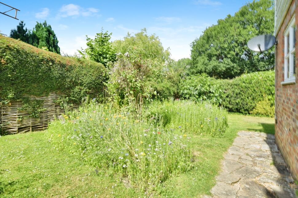 Image 23