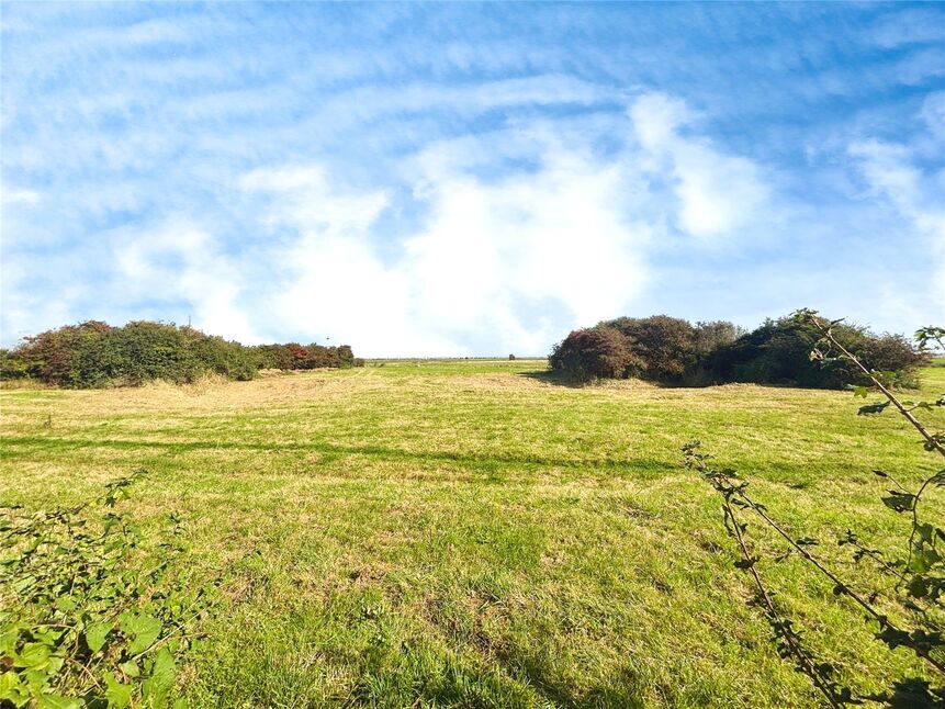 Image 16
