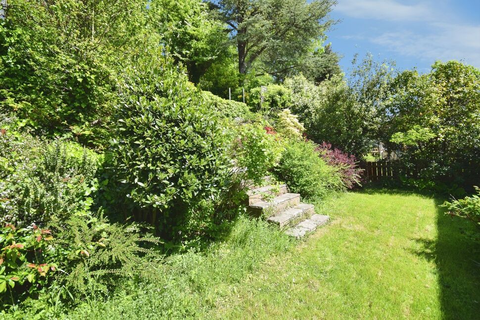 Image 21