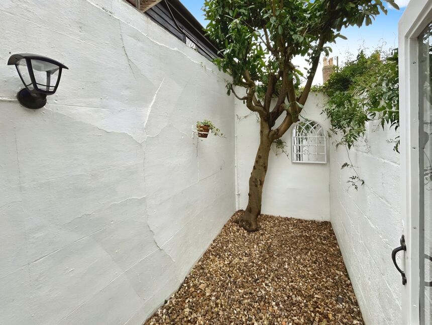 Rear Courtyard Garden