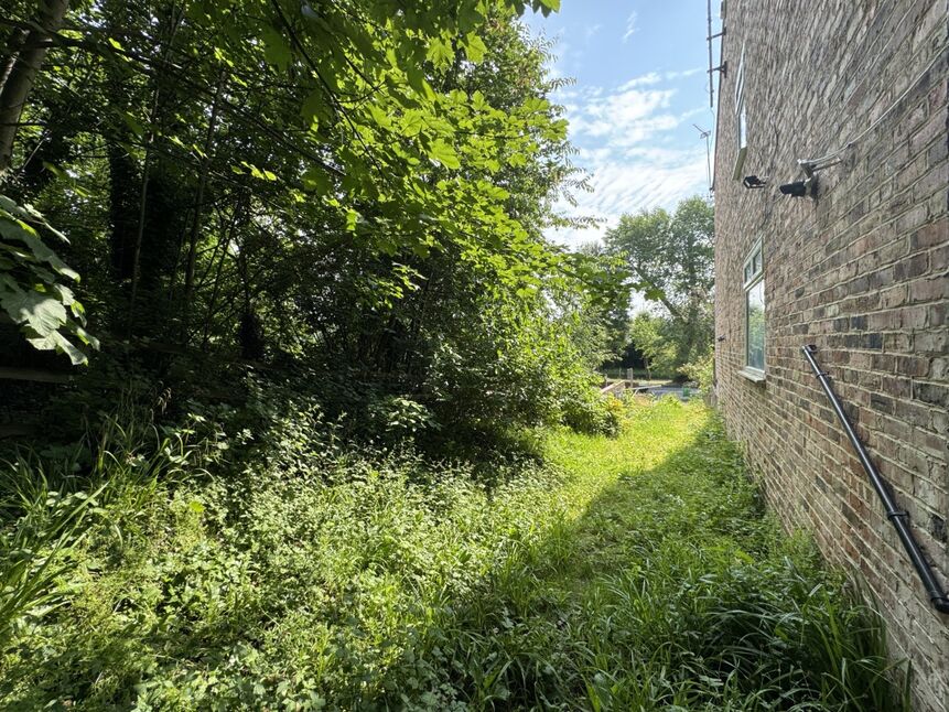 Image 17