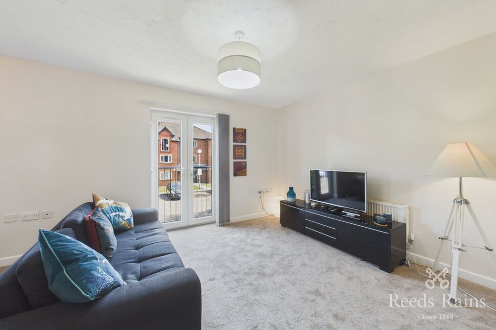 Living Room / Kitchen