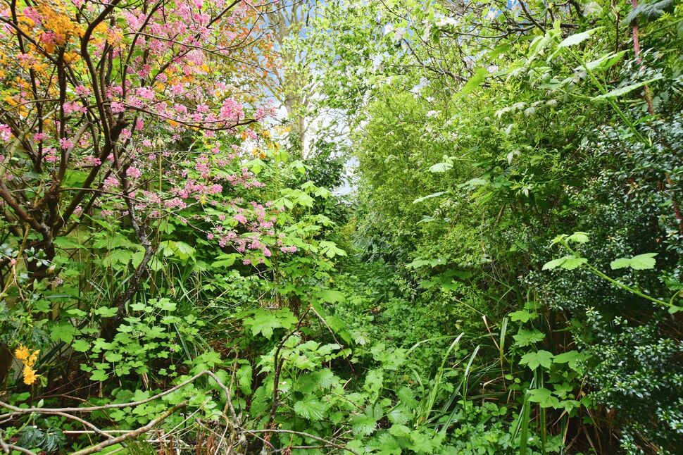 Image 15