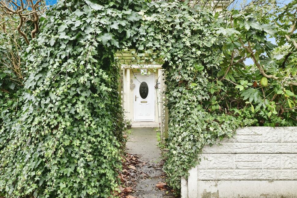 Image 19