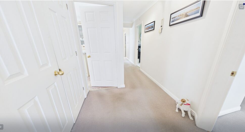Image 16