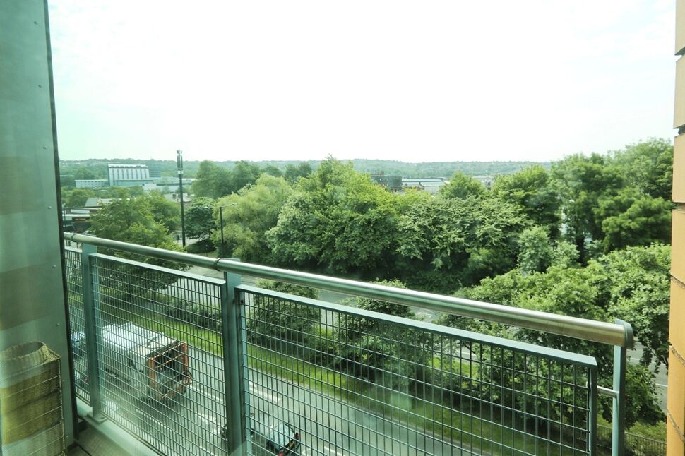 Image 6