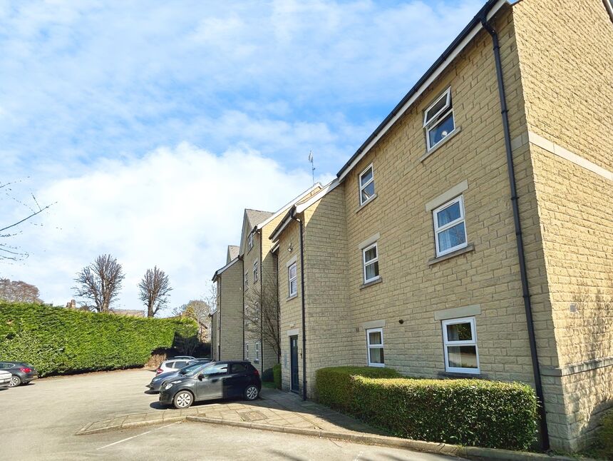 Image 12
