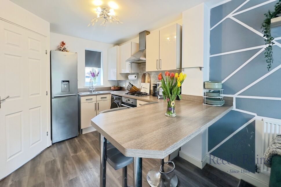 Kitchen / Living Area