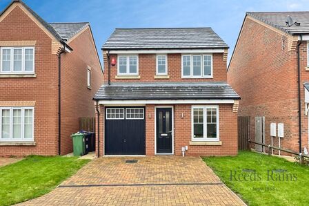 Cornflower Close, 3 bedroom Detached House to rent, £1,250 pcm