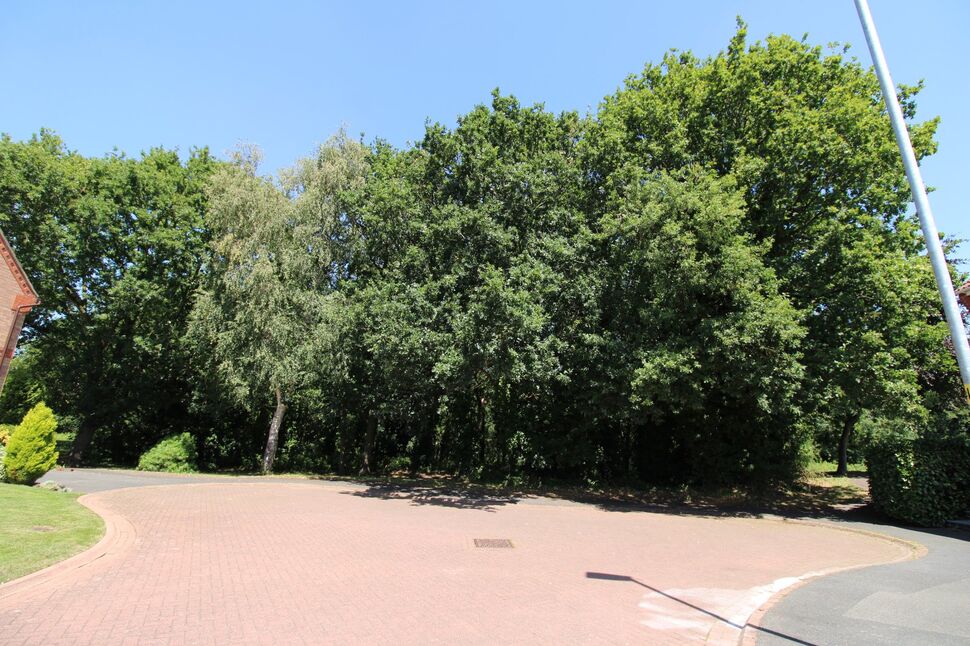 Image 21