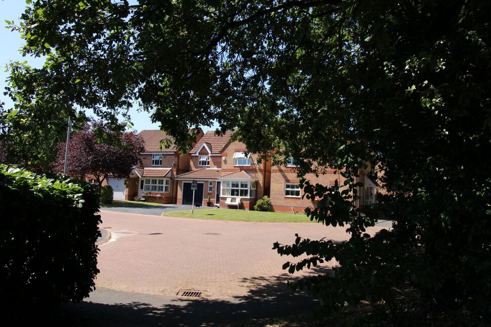 Image 23