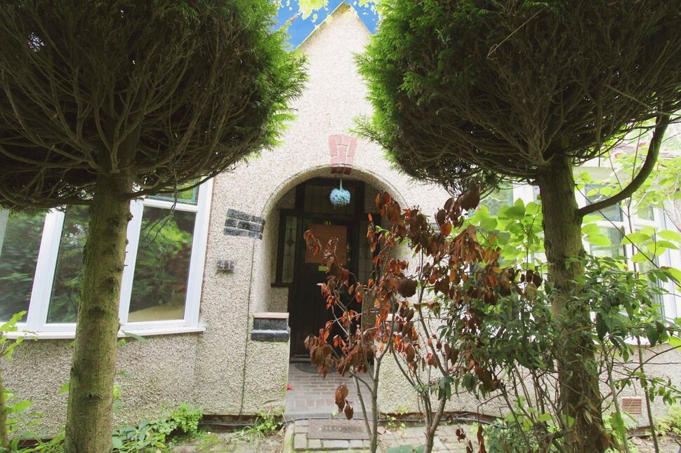 Image 14