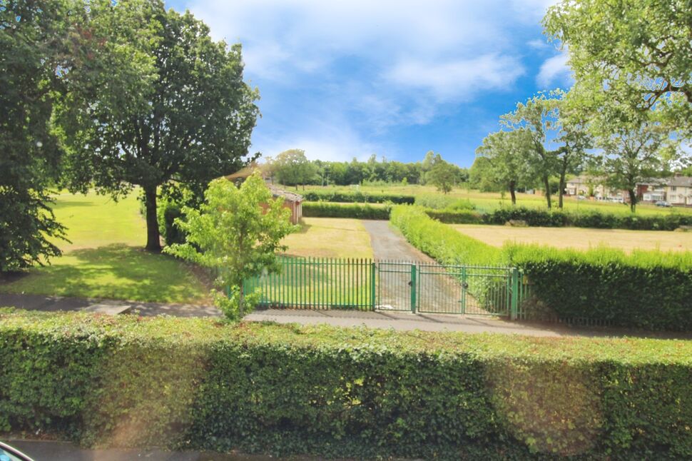 Image 15