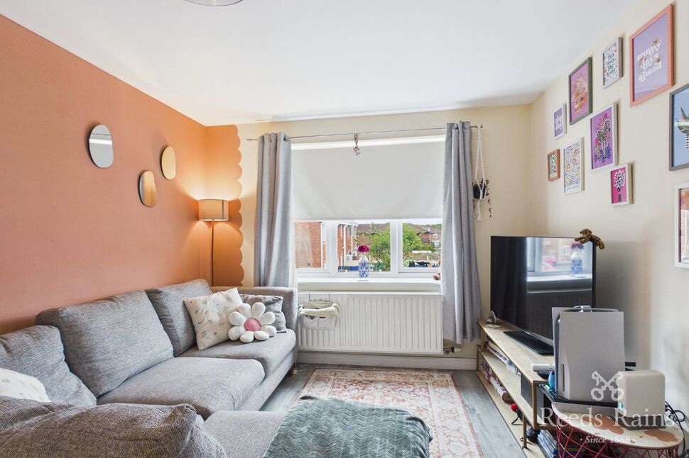 Lounge / Dining / Kitchen