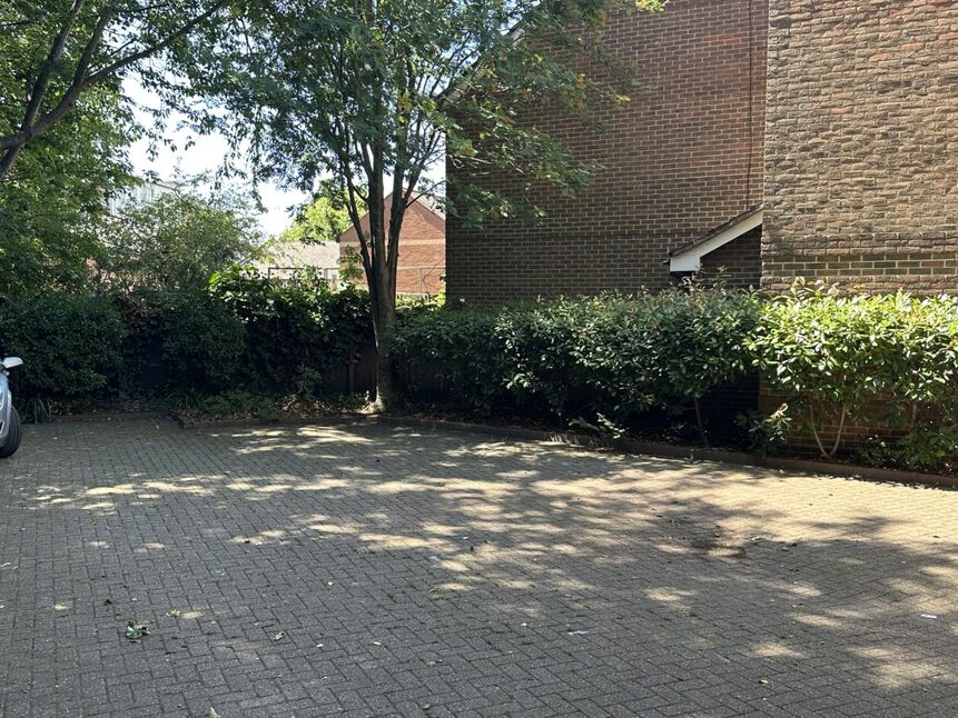 Image 11