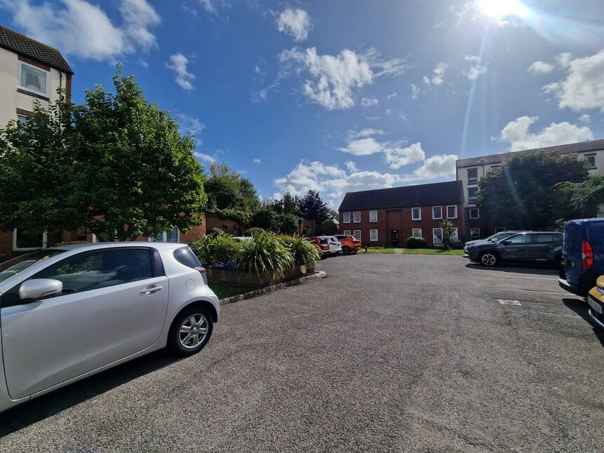 Image 10