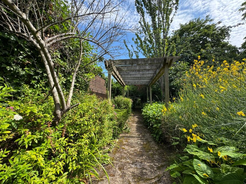Image 15