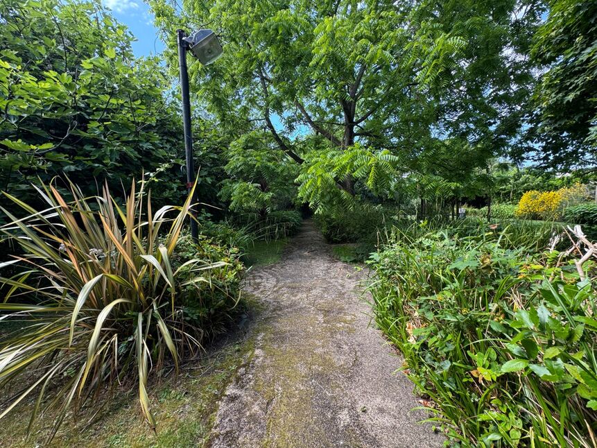 Image 20