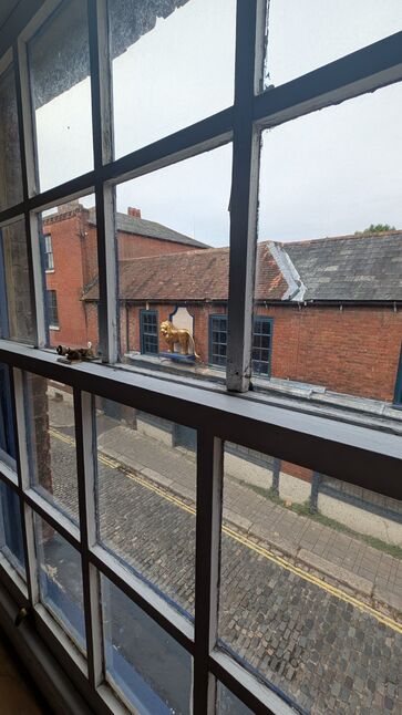 Image 7