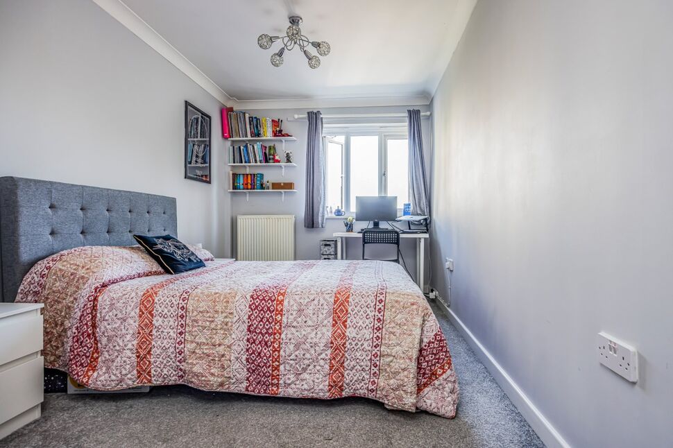 Image 15