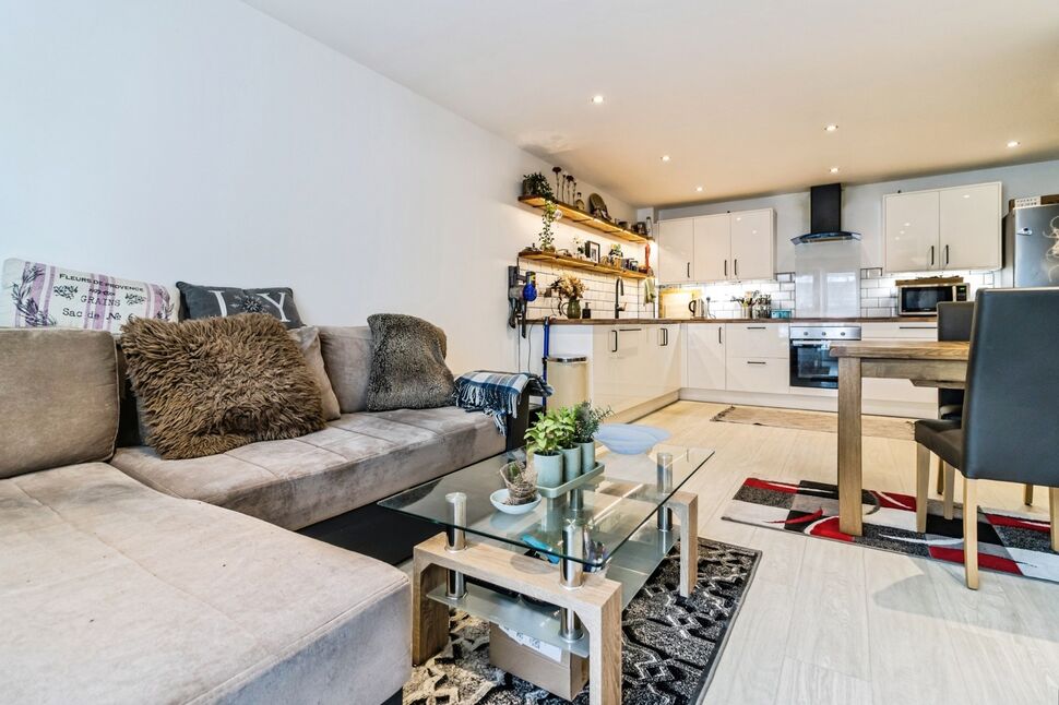 Living Area / Kitchen