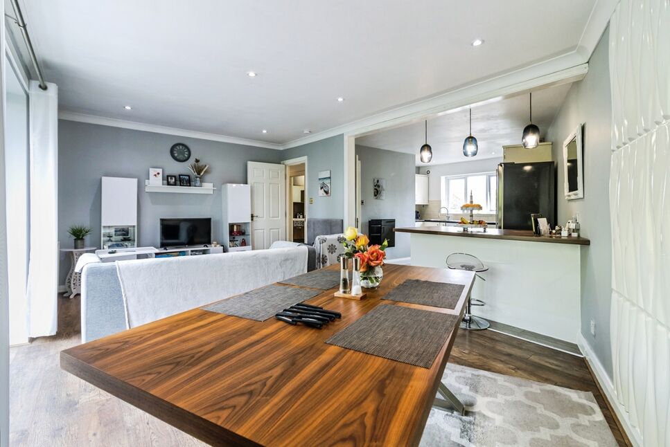 Living Area / Kitchen