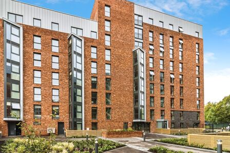 1 bedroom Flat to rent