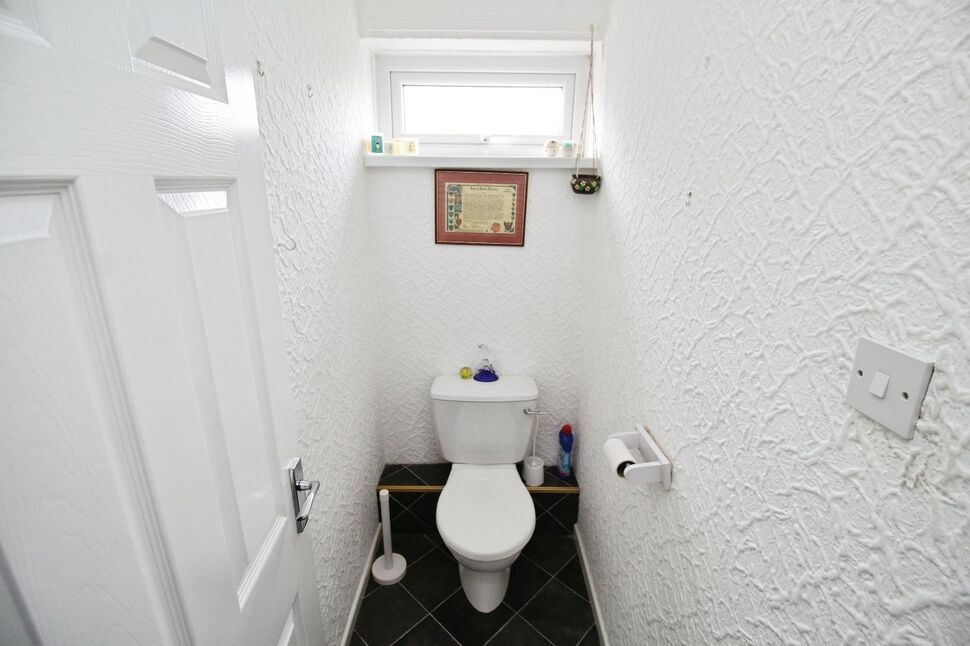 Image 15