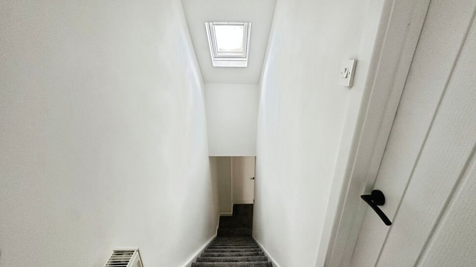 Image 15