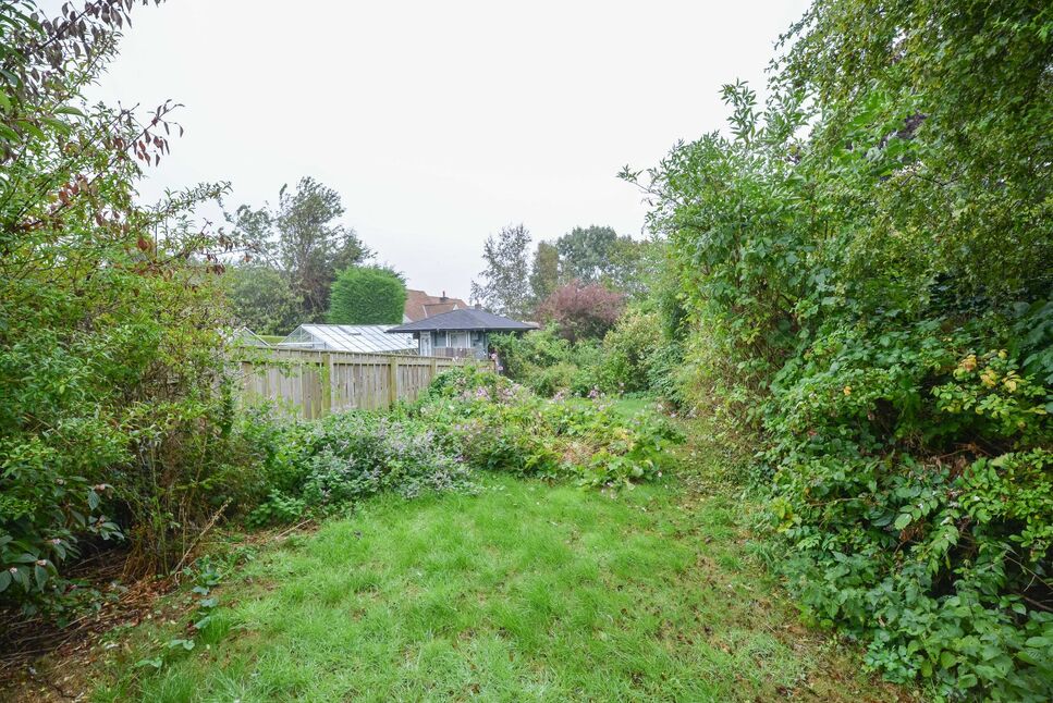 Image 20