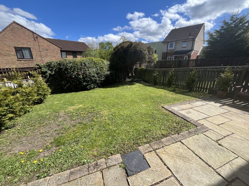 Image 15