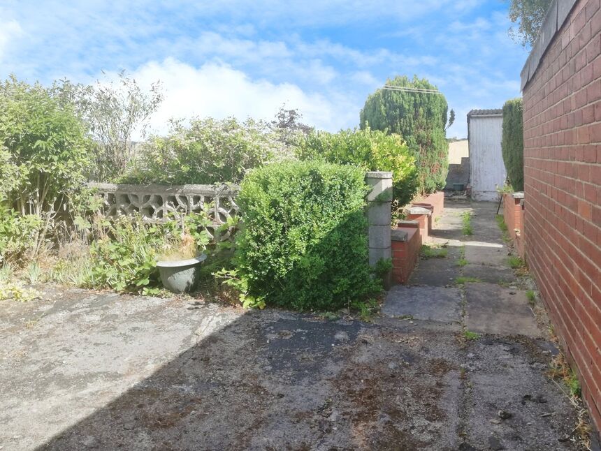 Image 14