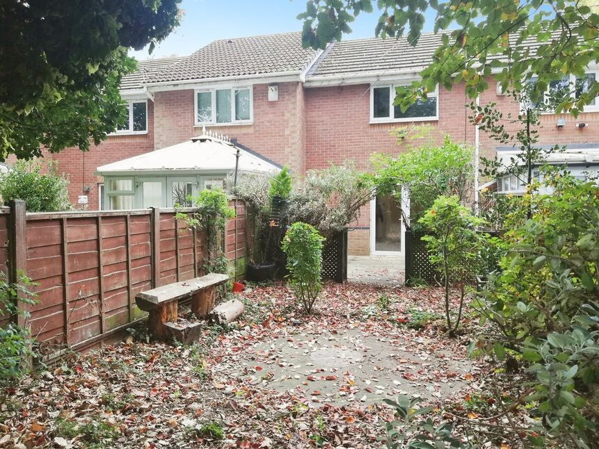 Image 11