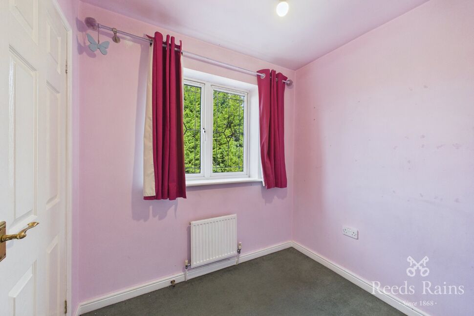 Image 15