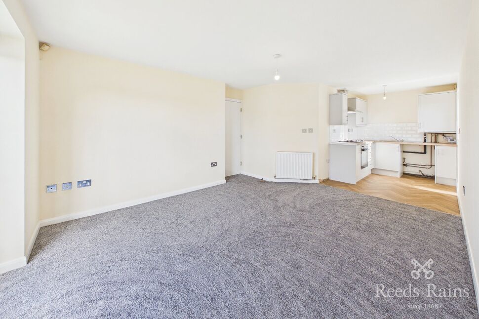 Living Room / kitchen