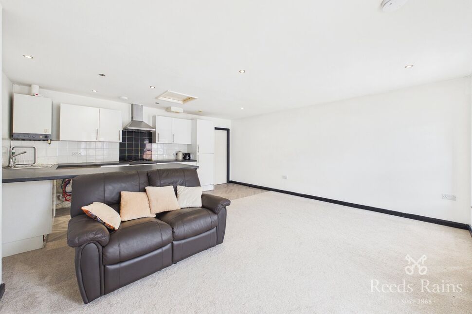Living Room / Kitchen