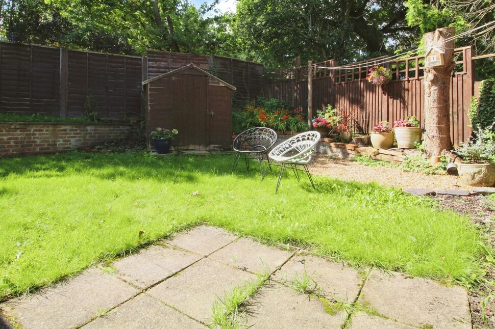 Image 15