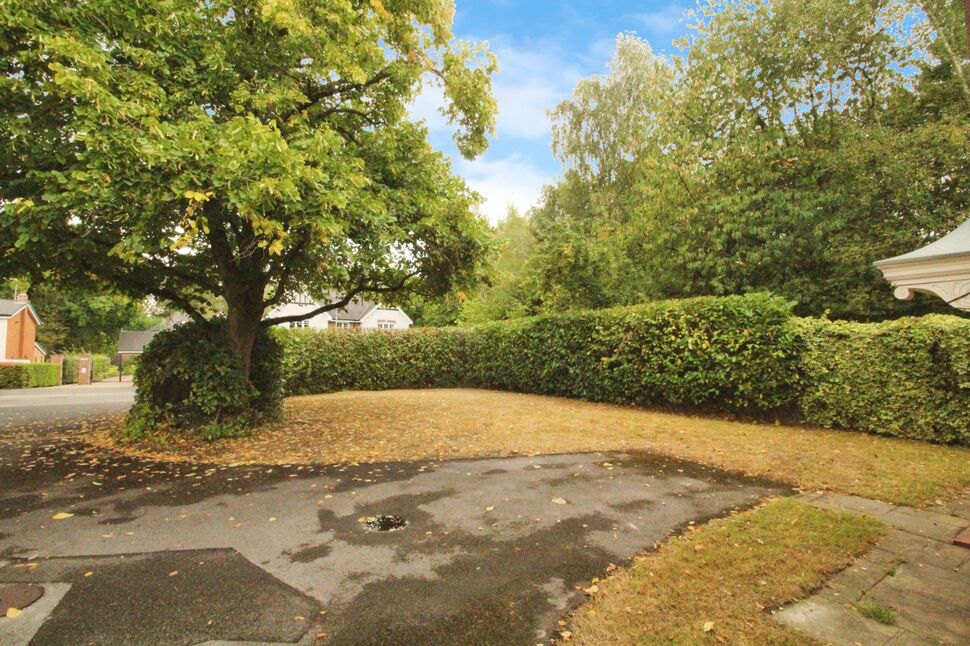 Image 20