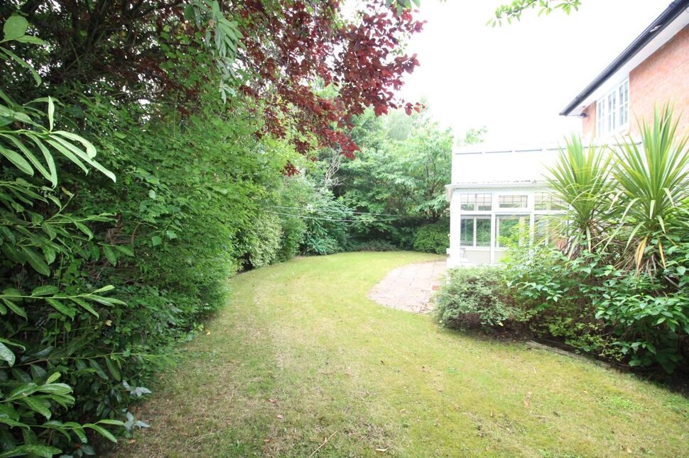 Image 15